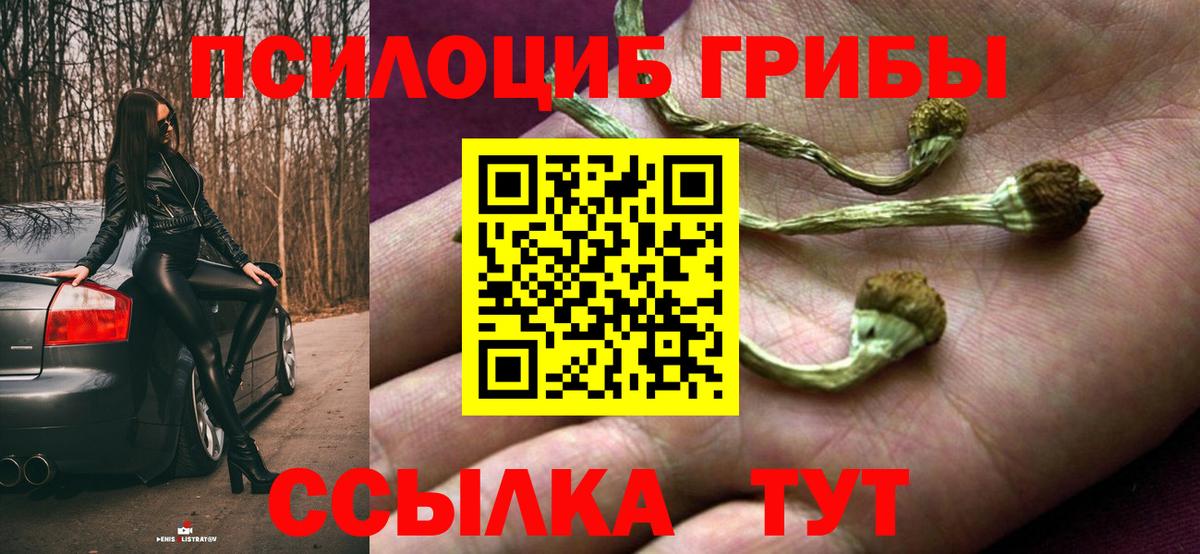 Галлюциногенные грибы Cubensis Апатиты